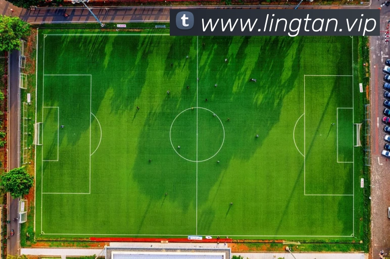 开云手机官方版登录入口 - 开云(中国)全站App 开云手机官方版登录入口 - 开云(中国)全站App